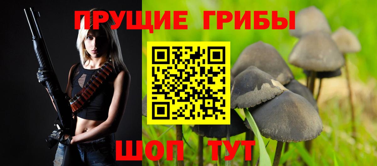 Псилоцибиновые грибы Psilocybe  наркошоп  Дедовск  Вход с VPN 